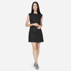 Everlane Black Flare Dress